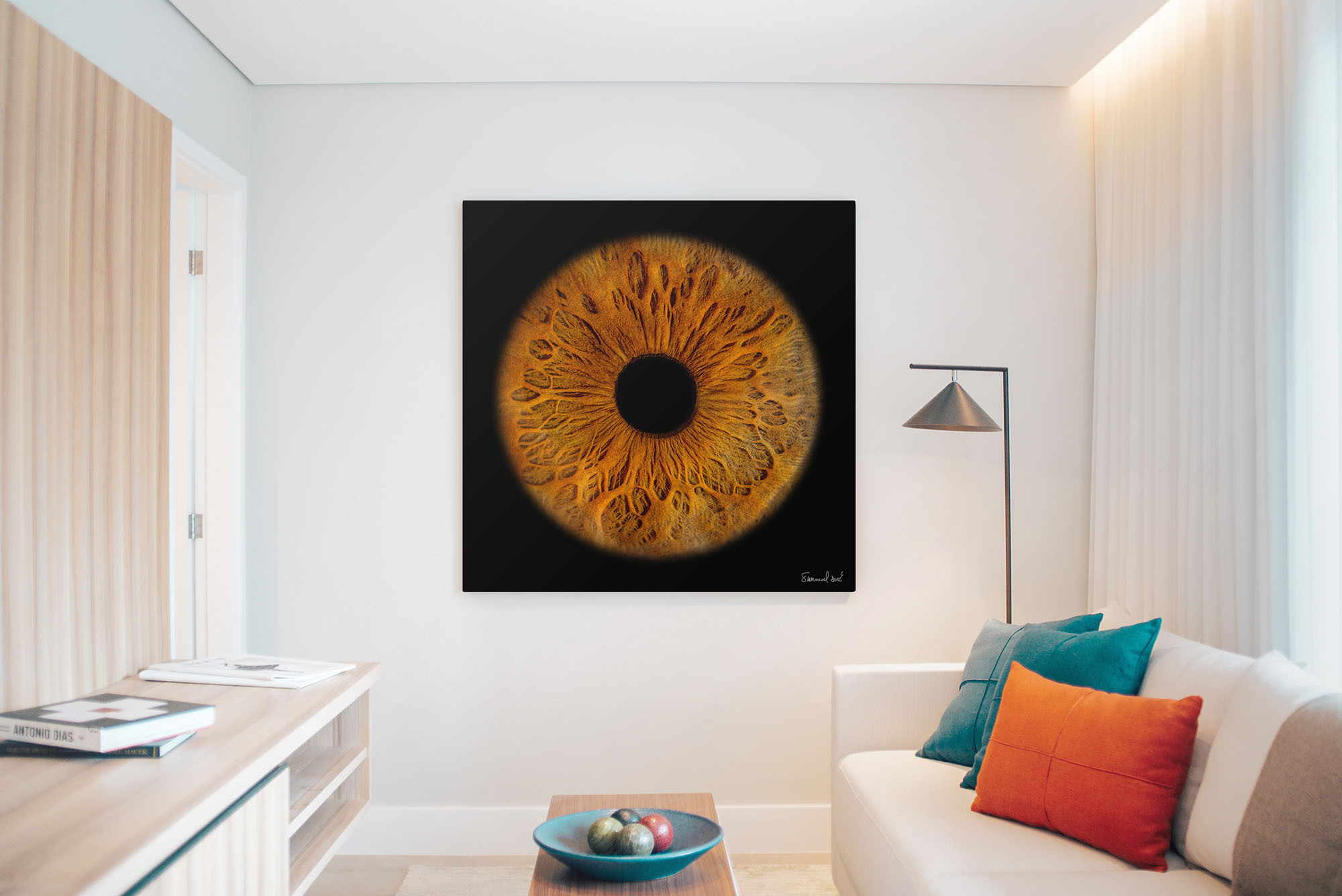 Un cadre carré avec une grande photo d'iris au mur, presque comme une planète